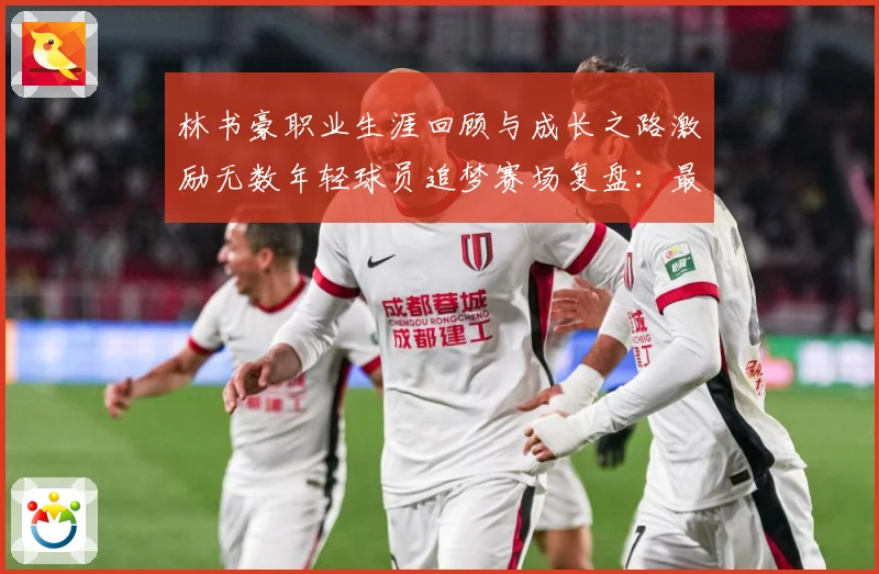 林书豪职业生涯回顾与成长之路激励无数年轻球员追梦赛场复盘：最新赛事动态与深度分析